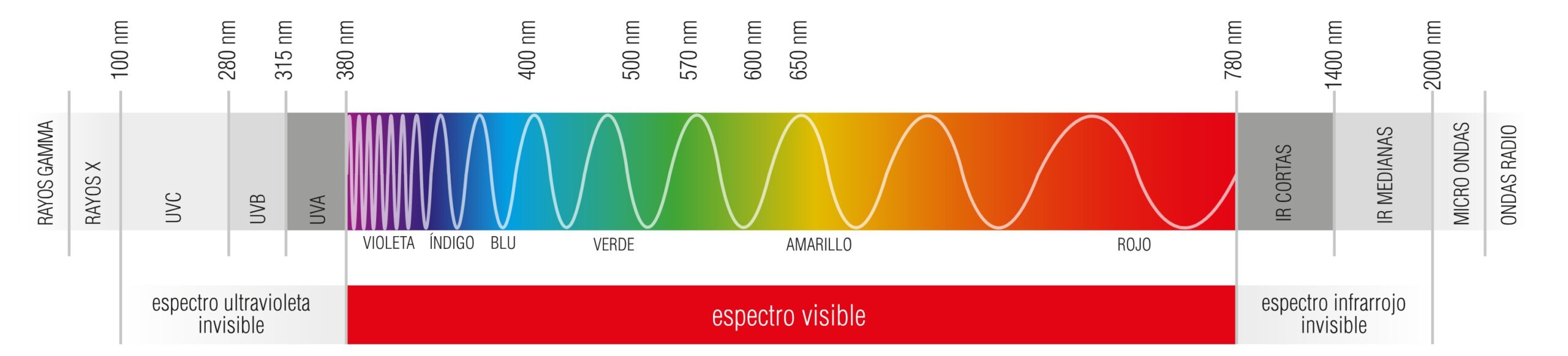 ESPECTRO